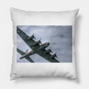 Sally B Over the Top Pillow