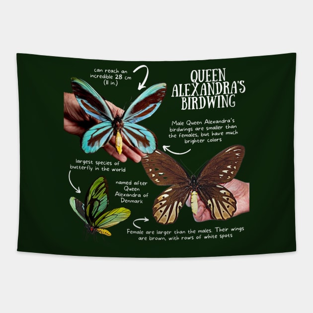 Animal Facts - Queen Alexandra's Birdwing Tapestry by Animal Facts and Trivias