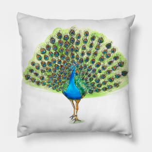 Peacock Fan Pillow