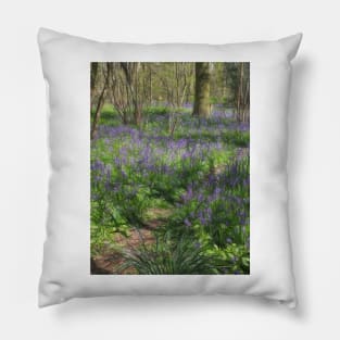 dappled light in woodland favoured by blue bells Pillow