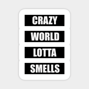 Crazy World Magnet