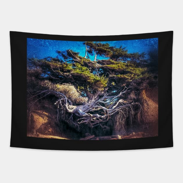 Kalaloch Tree of Life Surreal Tapestry by kchase