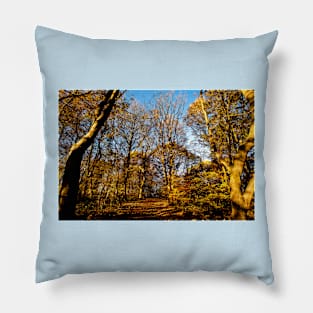 Autumn Sunshine in Plessey Woods Pillow