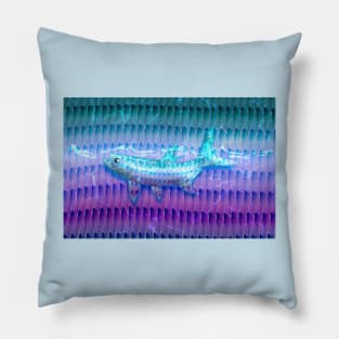 Tarpon Pearl Pillow