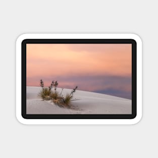 White Sand Sunset Magnet