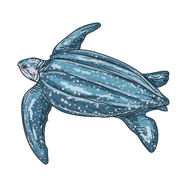 Discover Leatherback Turtle - Turtle - Pin