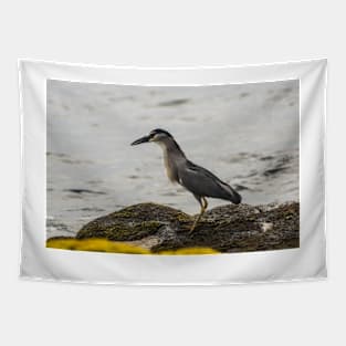 Black-crowned night heron of hawaii 2 Tapestry