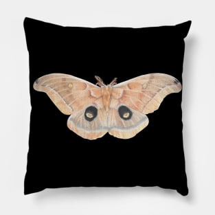 Polyphemus Moth Insect Themed Entomology Drawing Pillow