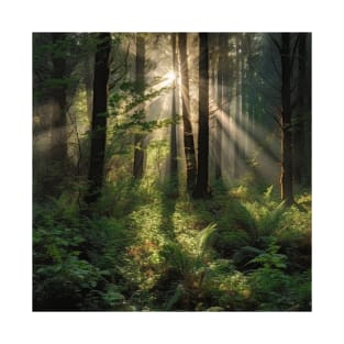 Sunshine on the dense forests after the rain T-Shirt