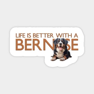 Bernese mountain dog Magnet