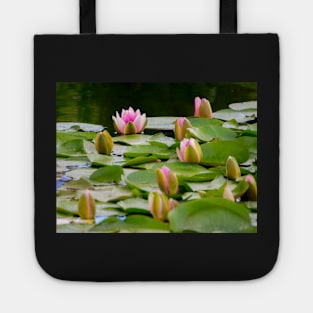 Pond with Water Lilies Tote