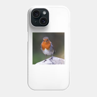 Robin Phone Case