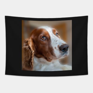 Welsh Springer Spaniel Tapestry