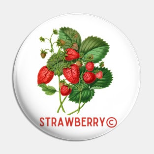 Vintage Strawberry Classic Pin