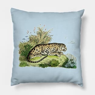 Leopard Vintage Wildlife Illustration Pillow