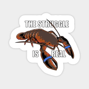 Lobster Captivity Magnet