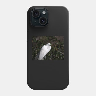 Great Egret with Breeding Colors and Plumes Phone Case