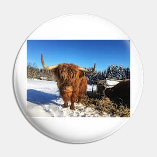 Scottish Highland Cattle Cow 1711 Pin