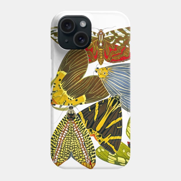 Butterflies Watercolor #11 Phone Case by olemanner