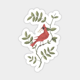 Cardinal Bird Vintage Wildlife Illustration Magnet