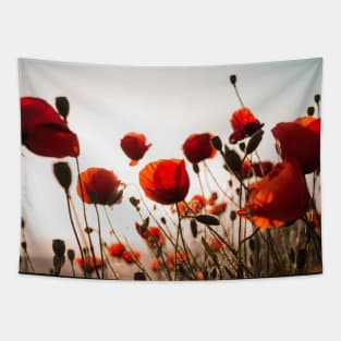 Red Poppies - wild flowers - birth flowers Tapestry