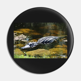 Large Gator in a Pond Pin