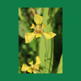 Yellow lily blossom on bright green background T-Shirt