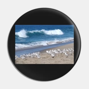 Pacific Ocean and Sanderlings Pin