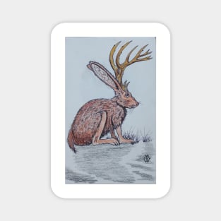 Jackalope Magnet