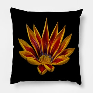 Gazania Rigans Cut Out Pillow