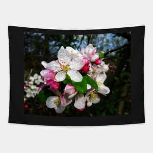 Dew Sprinkled Crabapple Blossoms Tapestry