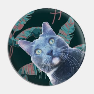 Summer of Roger the Cat Moody Palm Leaf Pin