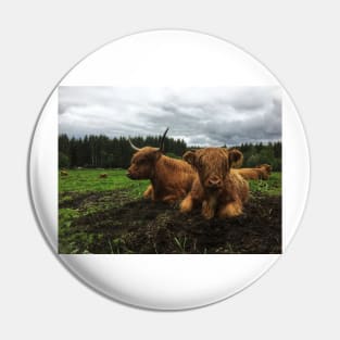 Scottish Highland Cattle Cow and Calf 2008 Pin