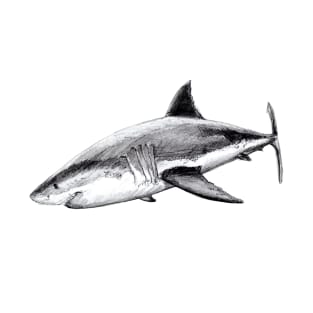 Great white shark (Carcharodon carcharias) T-Shirt