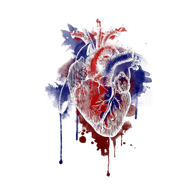 Digital Anatomical Watercolor Heart (White Version) by SingeDesigns