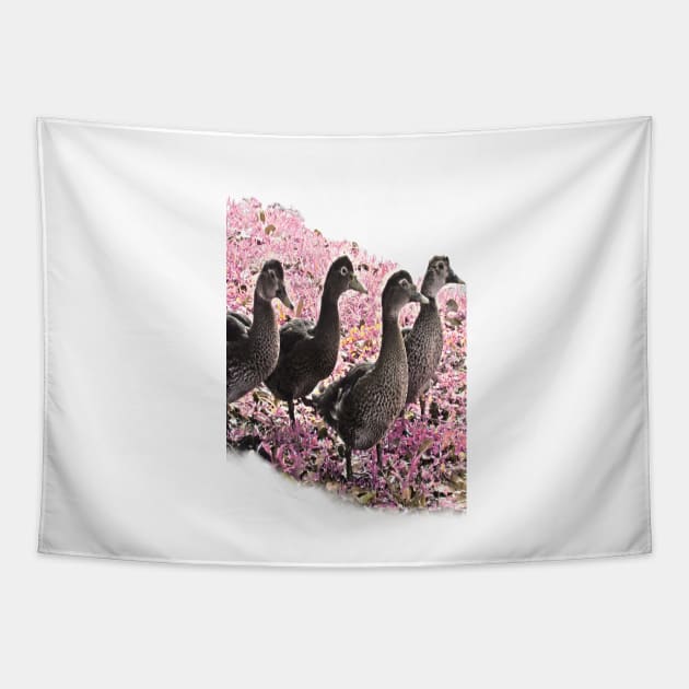 Young Ducks Tapestry by RoxanneG