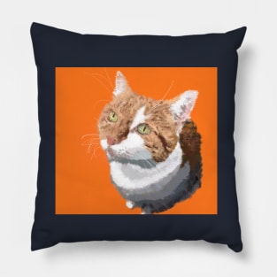 Ginger Pillow