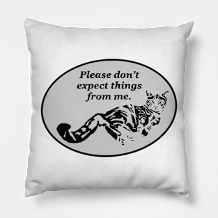 Cat Expectations Pillow