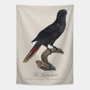 Black Lory / Le Lori Noir - Jacques Barraband 19th century Illustration Tapestry