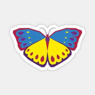 COLORFUL BUTTERFLY Magnet