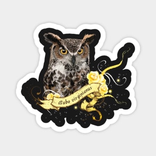 American owl Magnet