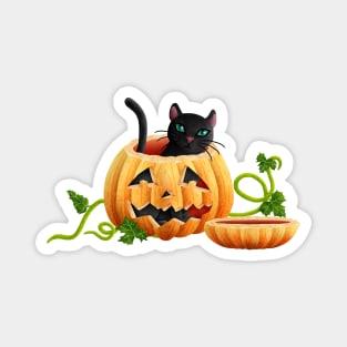 Cat sitting in a Halloween pumpkin Magnet