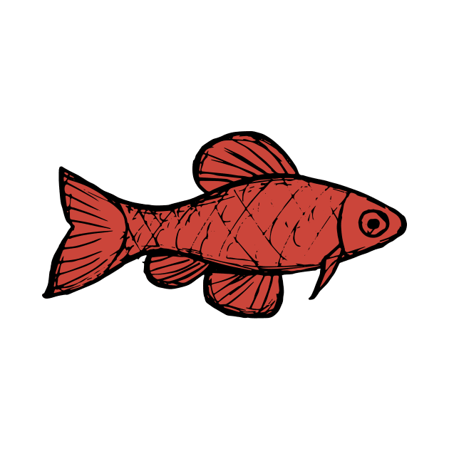 Cherry barb - freshwater aquarium fish by DigitalShards