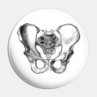 Human Body - Pelvis Pin