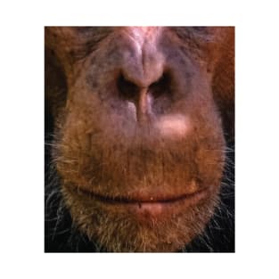 Monkey mouth face mask - monkey lover gifts - monkey face masks T-Shirt