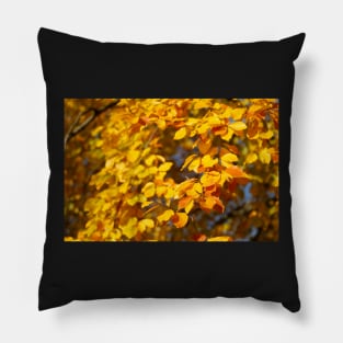 Autumn leaves, leaf color, beech, tree Pillow