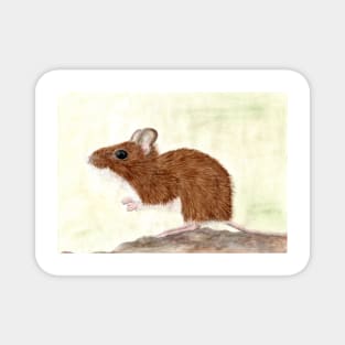 Mouse power animal Magnet