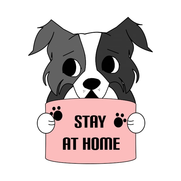 Stay at home - Border collie dog quarantine 2020 by Ralph Hovsepian