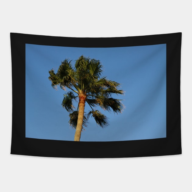 Palm tree Tapestry by jomaot