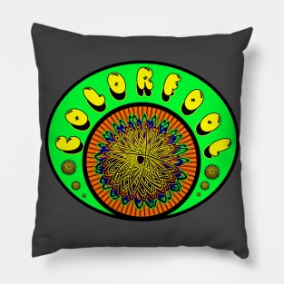 ColorFool Pillow